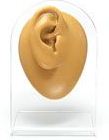 ORECCHIO  SILICONE DISPLAY DESTRO COLORE CARNE